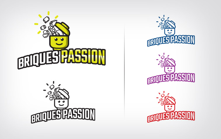 briques-passion-charte-logo-en-couleur