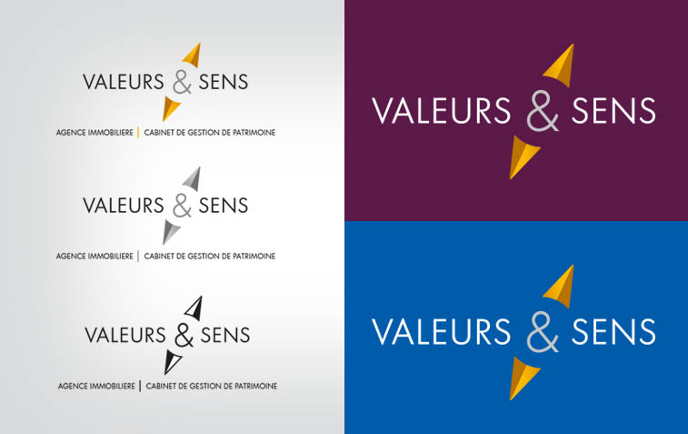 valeurs-et-sens-agence-immobiliere-charte-couleurs